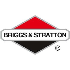 BRIGGS and STRATTON