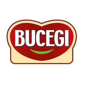 Bucegi