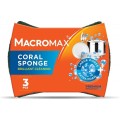 Burete de Vase Macromax Mercan, 3 Bucati