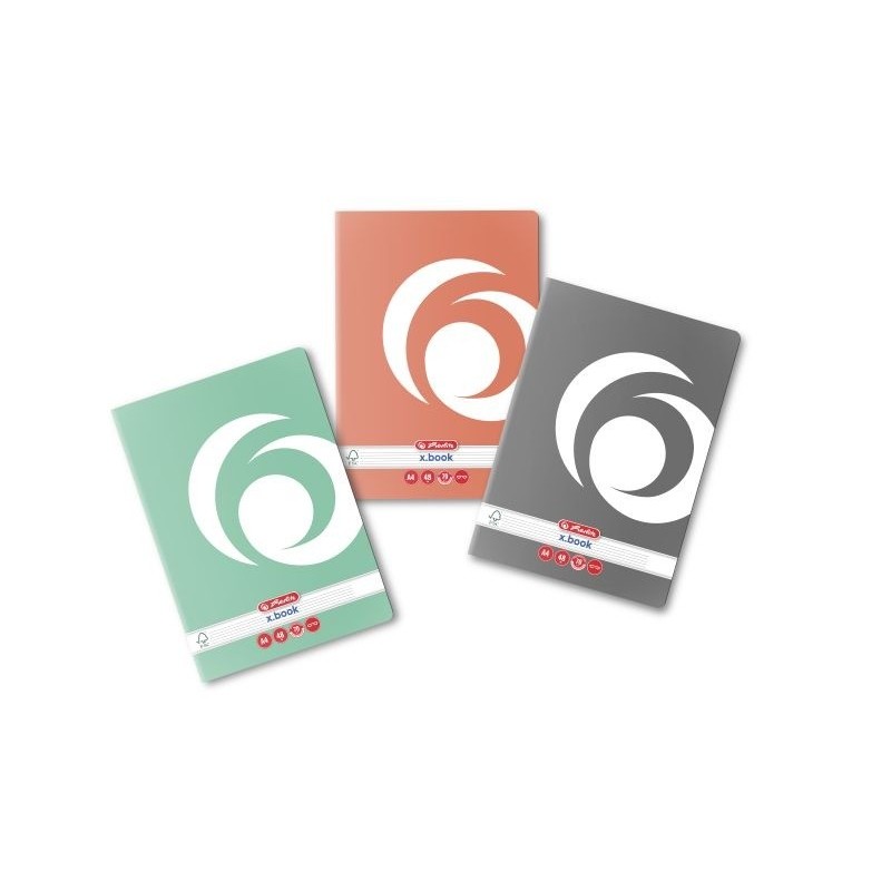 Caiet A4, 48 File, Dictando, Rainbow