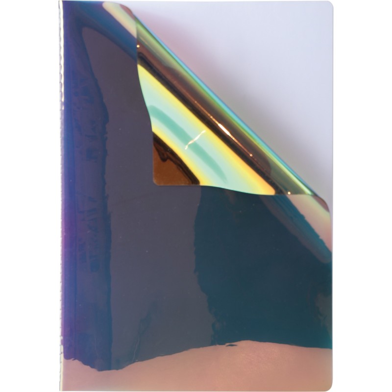 Caiet A4 Dictando, 40 File, 80 g, Coperta Iris, Varianta 4