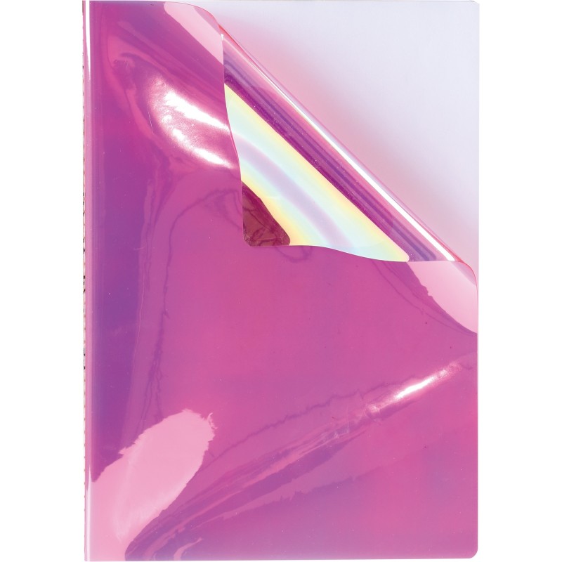 Caiet A4 Dictando, 40 File, 80 g, Coperta Iris, Varianta 6