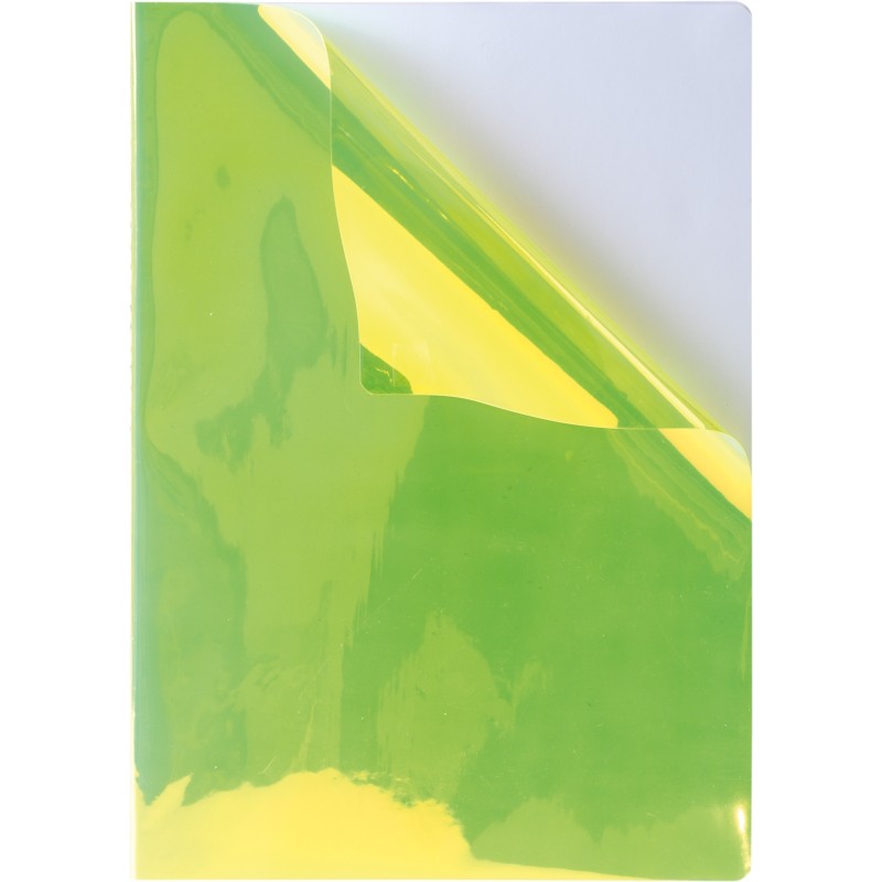 Caiet A4 Matematica, 40 File, 80 g, Coperta Iris, Varianta 3