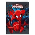 Caiet A4 Matematica, 50 File, 80 g, Coperta Spiderman, Varianta 1