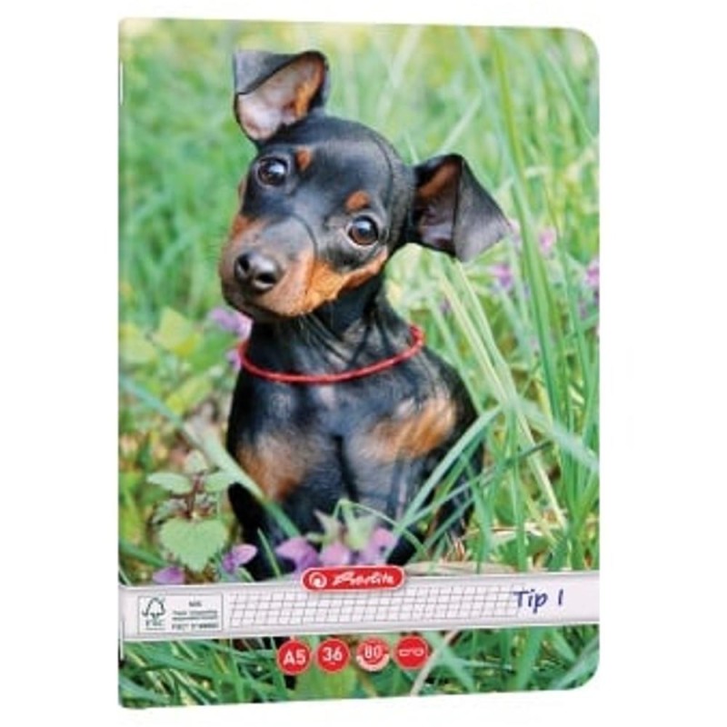 Caiet A5 36 de File, Tip I, Hartie 80g/mp, Motiv Cats and Dogs, Herlitz