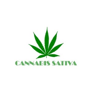 Cannabis Sativa