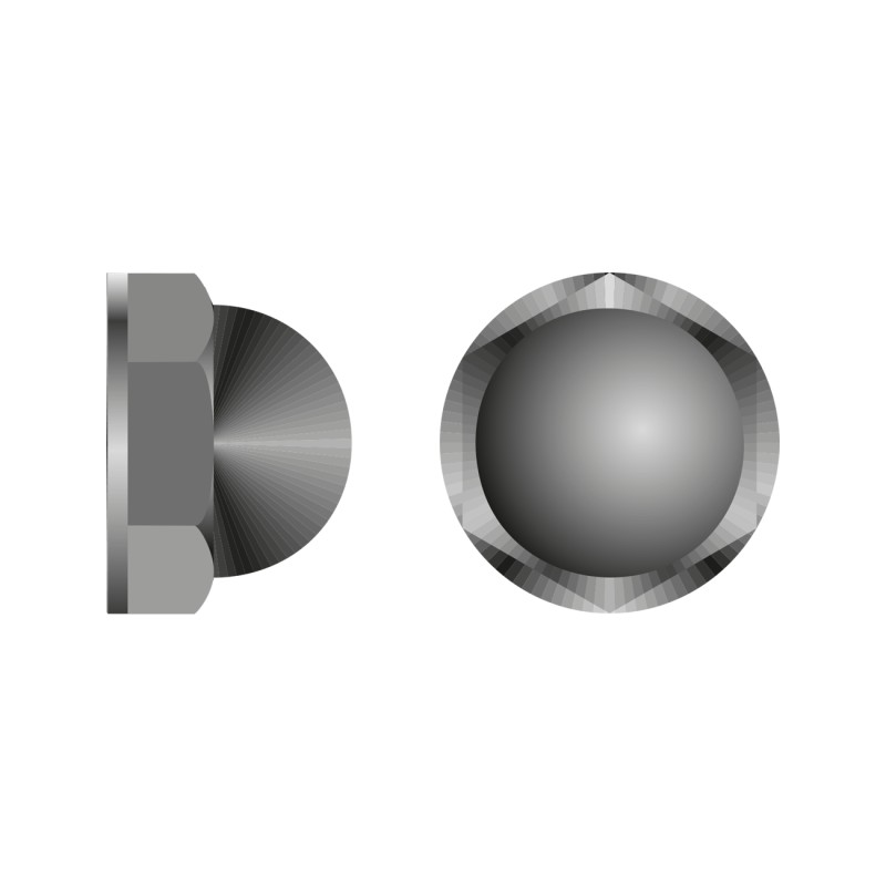 Capacele pentru Piulite Polietilena Neagra-Sw30 M20