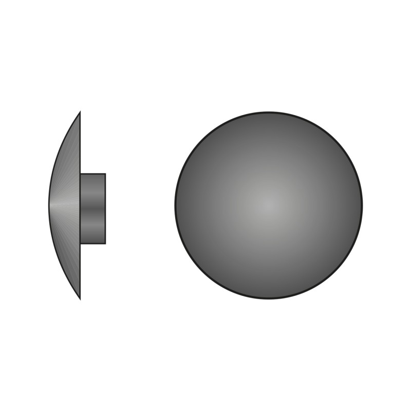 Capacele Plastic R18 Mm pentru Suruburi Torx T40 Plastic Colorat-Ral 9010-Alb Pur