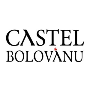 Castel Bolovanu
