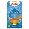 Ceai cu Ulei Esential, Prospetime Pura, Bio 40 g Yogi Tea