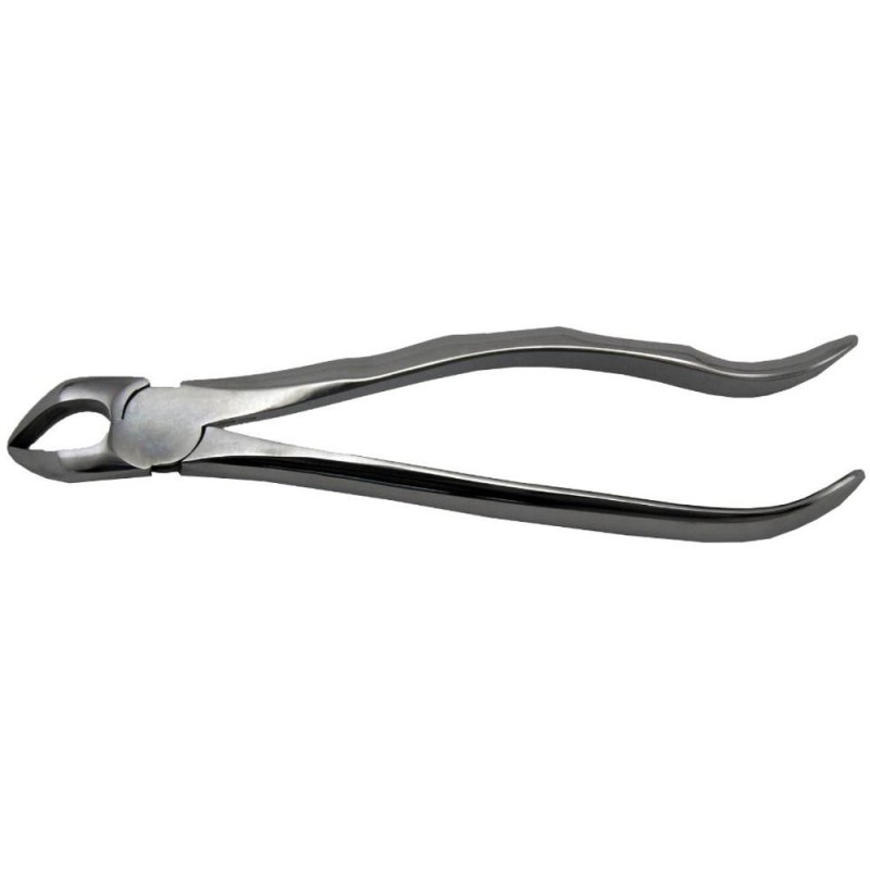 Cleste Extractie Nr. 31 pentru Radacini Inferiori, Prima