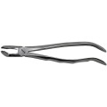 Cleste Extractie Nr. 79 pentru Molar de Minte Inferior cu Pinteni, Prima