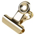 Clips Unghii Metalic pentru Curba C Luxorise Gold 22Mm