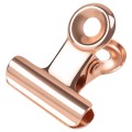 Clips Unghii Metalic pentru Curba C Luxorise Rose Gold 22Mm