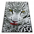 Covor Dreptunghiular, 120 x 170 cm, Gri, Kolibri Leopard 11122