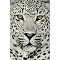 Covor Dreptunghiular, 120 x 170 cm, Gri, Kolibri Model Leopard 11368