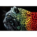 Covor Dreptunghiular, 120 x 170 cm, Multicolor, Model Black Leopard Lotos 11016