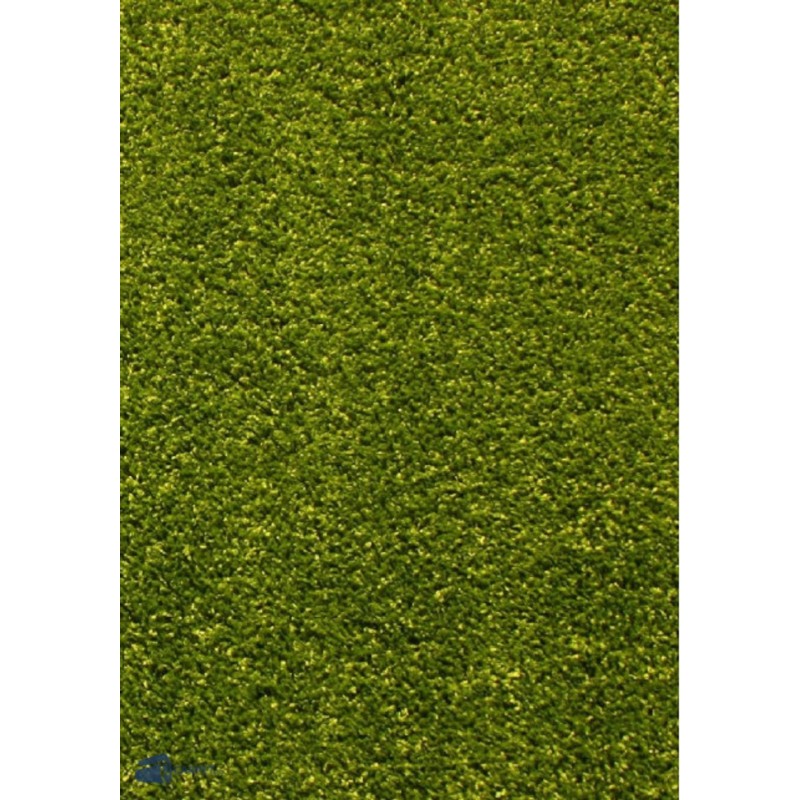 Covor Dreptunghiular, 80 x 150 cm, Verde, Kolibri 11000/130