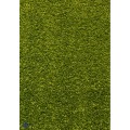 Covor Dreptunghiular, 80 x 150 cm, Verde, Kolibri 11000/130
