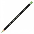 Creioane colorate Coloursoft Derwent - Light Green