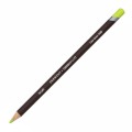 Creioane colorate Coloursoft Derwent - Lime Green