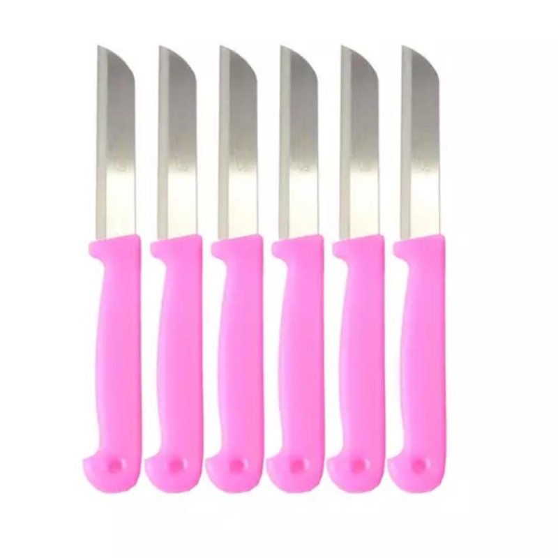 Cutit de Buzunar, Otel Inoxidabil, Lungime 17.5 cm, 6 Bucati, Perfect Home