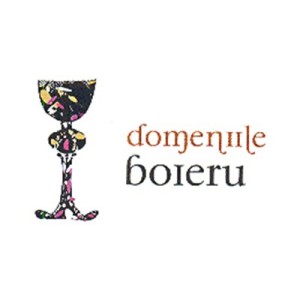 Domeniile Boieru
