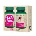 Echinacea Forte Dacia Plant, 60 Comprimate 1+1 Cadou