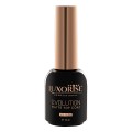 Evolution Matte Top Coat Luxorise, 10 ml