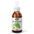 Extract Bio de Boldo, 50 ml Phyto-Biopole