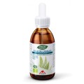 Extract Bio de Coada Calului, 50 ml Phyto-Biopole