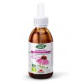 Extract Bio de Echinacea, 50 ml Phyto-Biopole