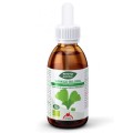 Extract Bio de Ginkgo Biloba, 50 ml Phyto-Biopole