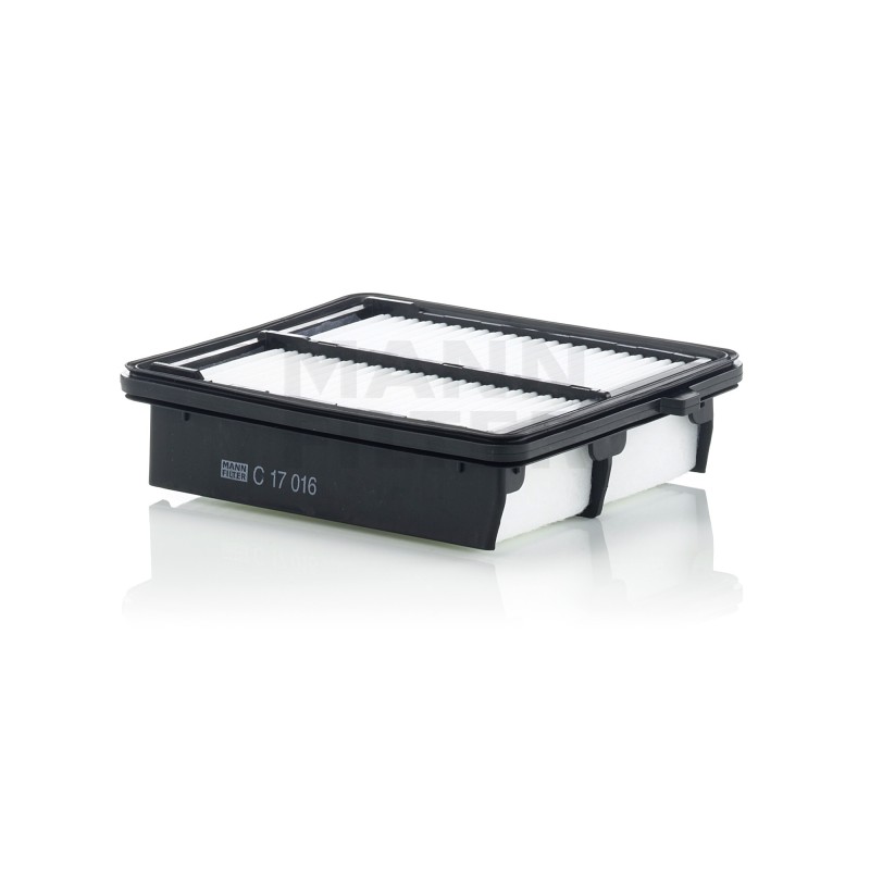 Filtru Aer C17016 pentru Honda