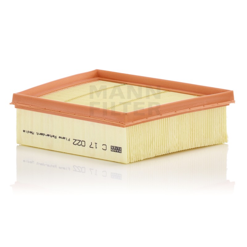 Filtru Aer C17022 pentru Ford