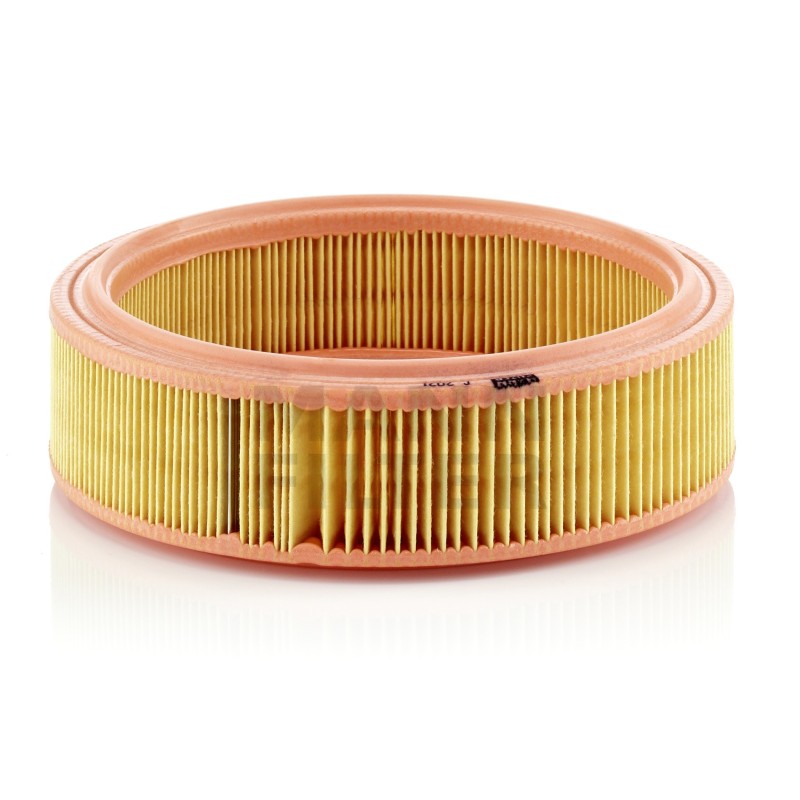 Filtru Aer C2021 pentru Rover