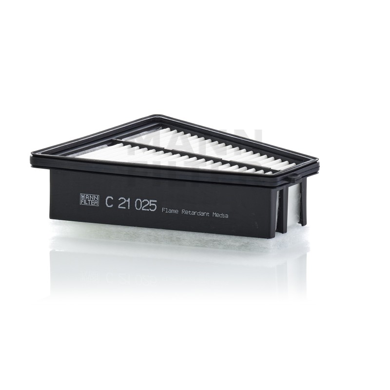 Filtru Aer C21025 pentru Renault Car