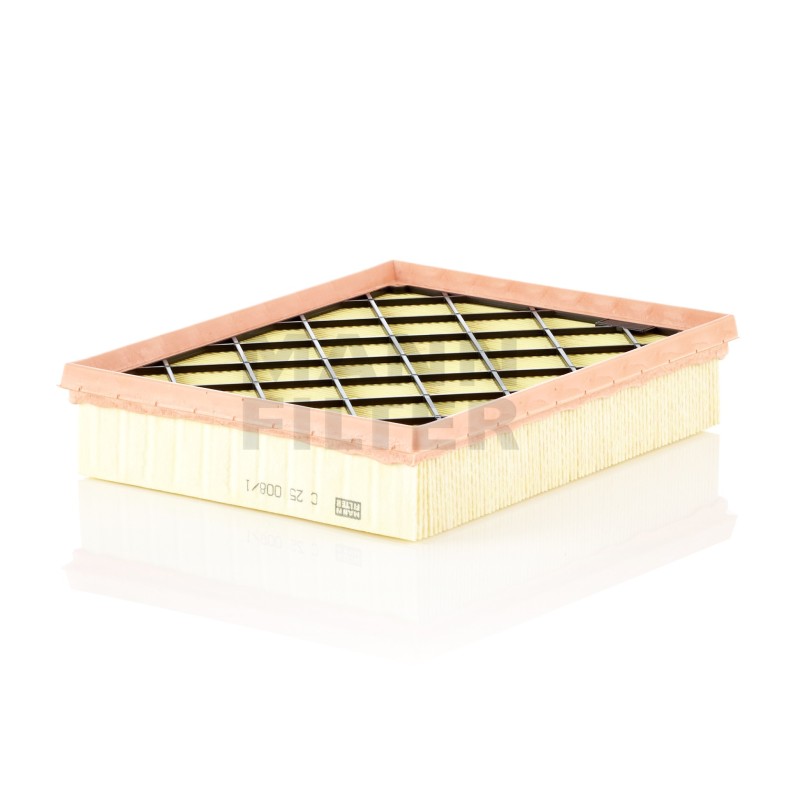 Filtru Aer C250081 pentru Ford