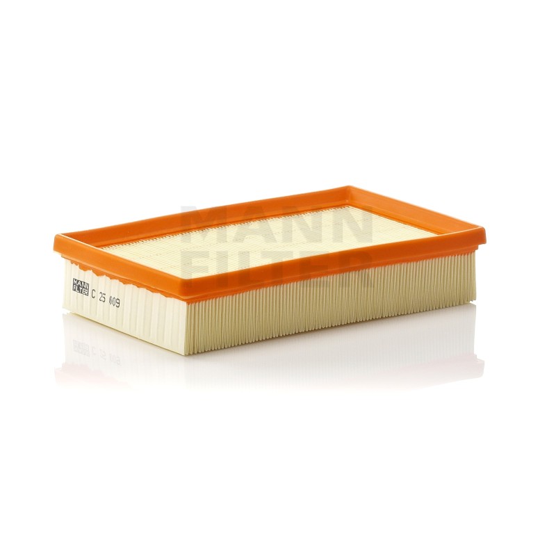 Filtru Aer C25009 pentru Porsche