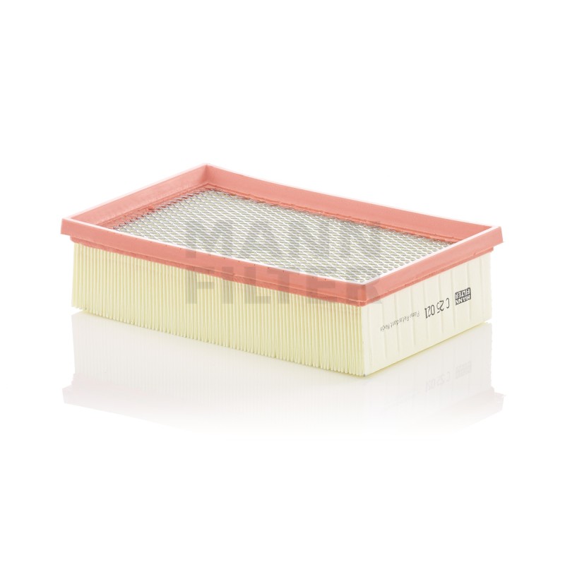 Filtru Aer C25021 pentru Jaguar