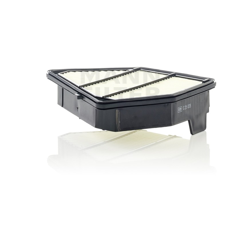 Filtru Aer C25028 pentru Honda