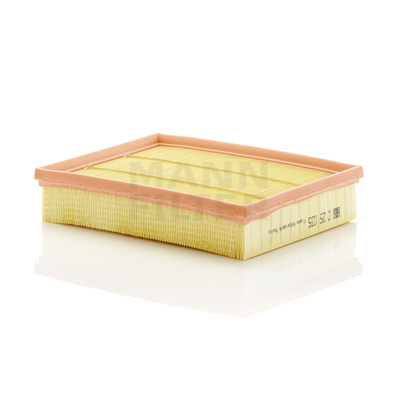 Filtru Aer C25035 pentru Ford