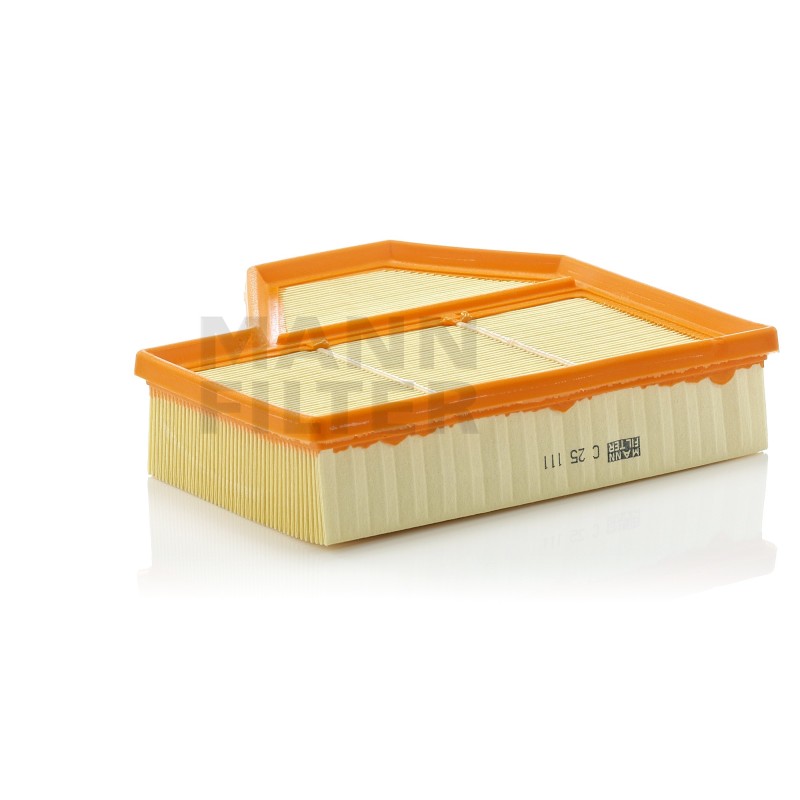 Filtru Aer C25111 pentru BMW
