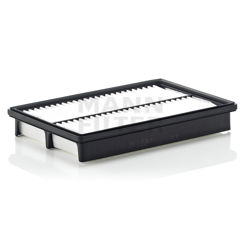 Filtru Aer C25241 pentru Hyundai