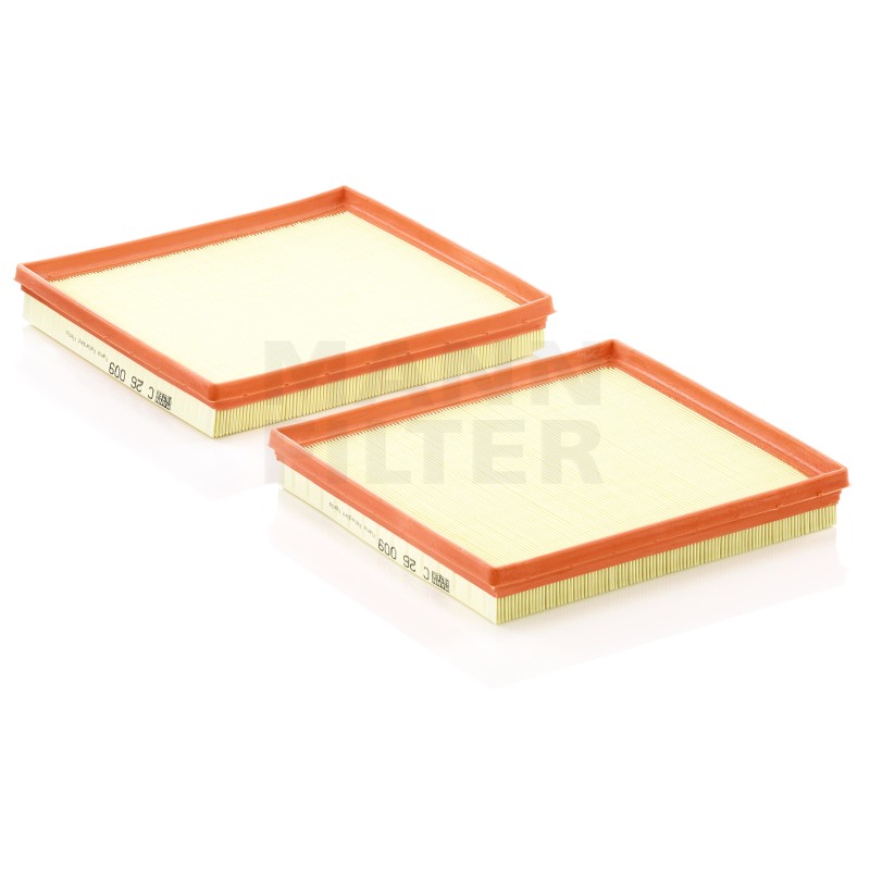 Filtru Aer C260092 pentru Mercedes-Benz