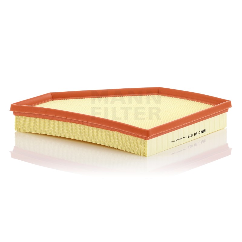 Filtru Aer C28054 pentru BMW