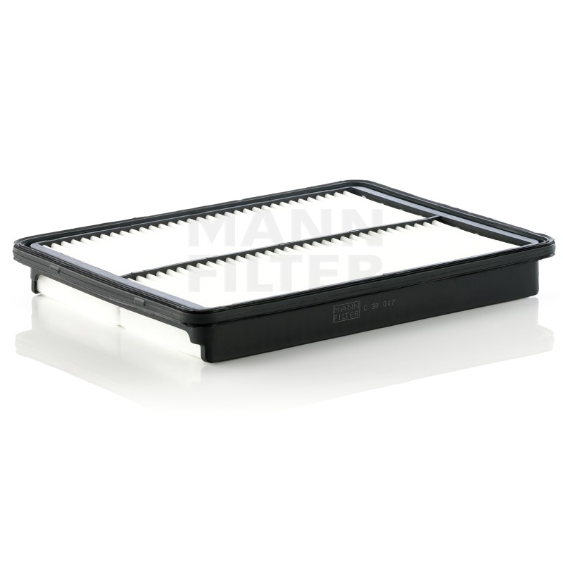 Filtru Aer C30017 pentru Hyundai