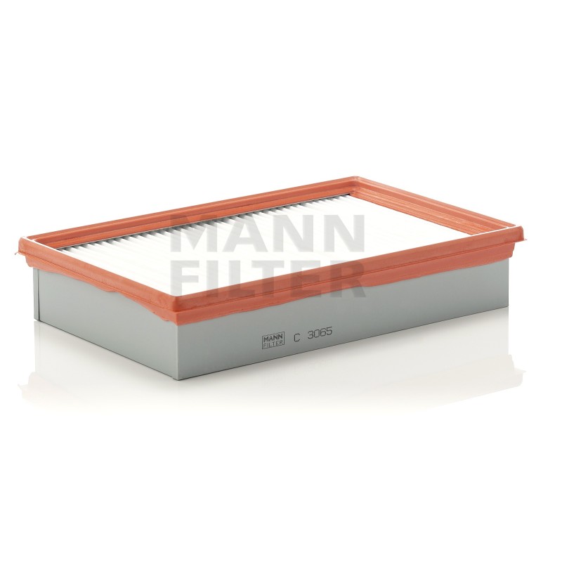 Filtru Aer C3065 pentru Kia