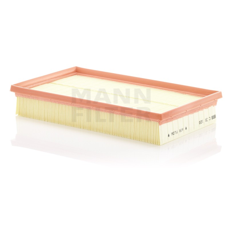 Filtru Aer C31120 pentru Compressors