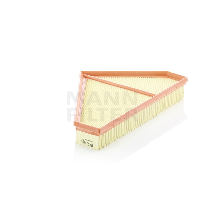 Filtru Aer C36009 pentru Various